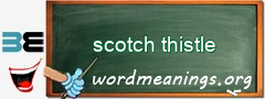 WordMeaning blackboard for scotch thistle